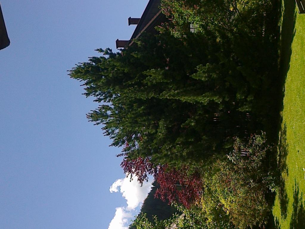 Ferienhaus Zipfmatl Keusche Bad Kleinkirchheim Exterior photo